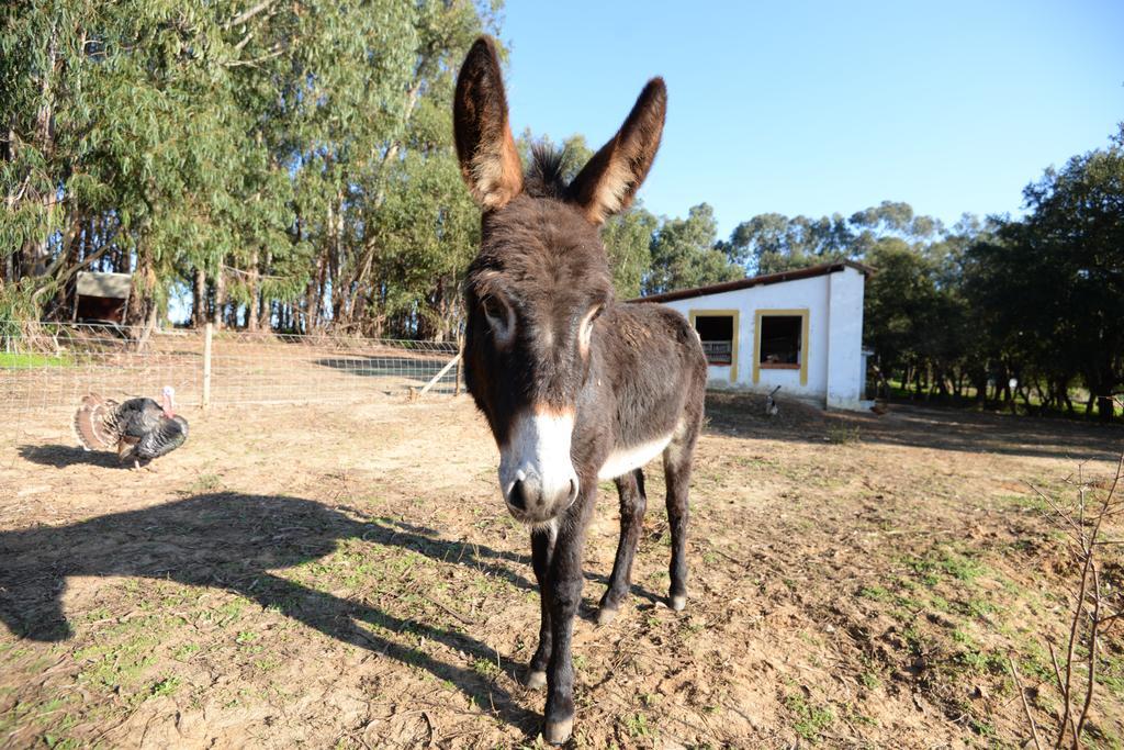 Quinta Pedagogica Da Samoqueirinha - Duna Parque Resorts & Hotels ヴィラ・ノヴァ・デ・ミルフォンテス エクステリア 写真