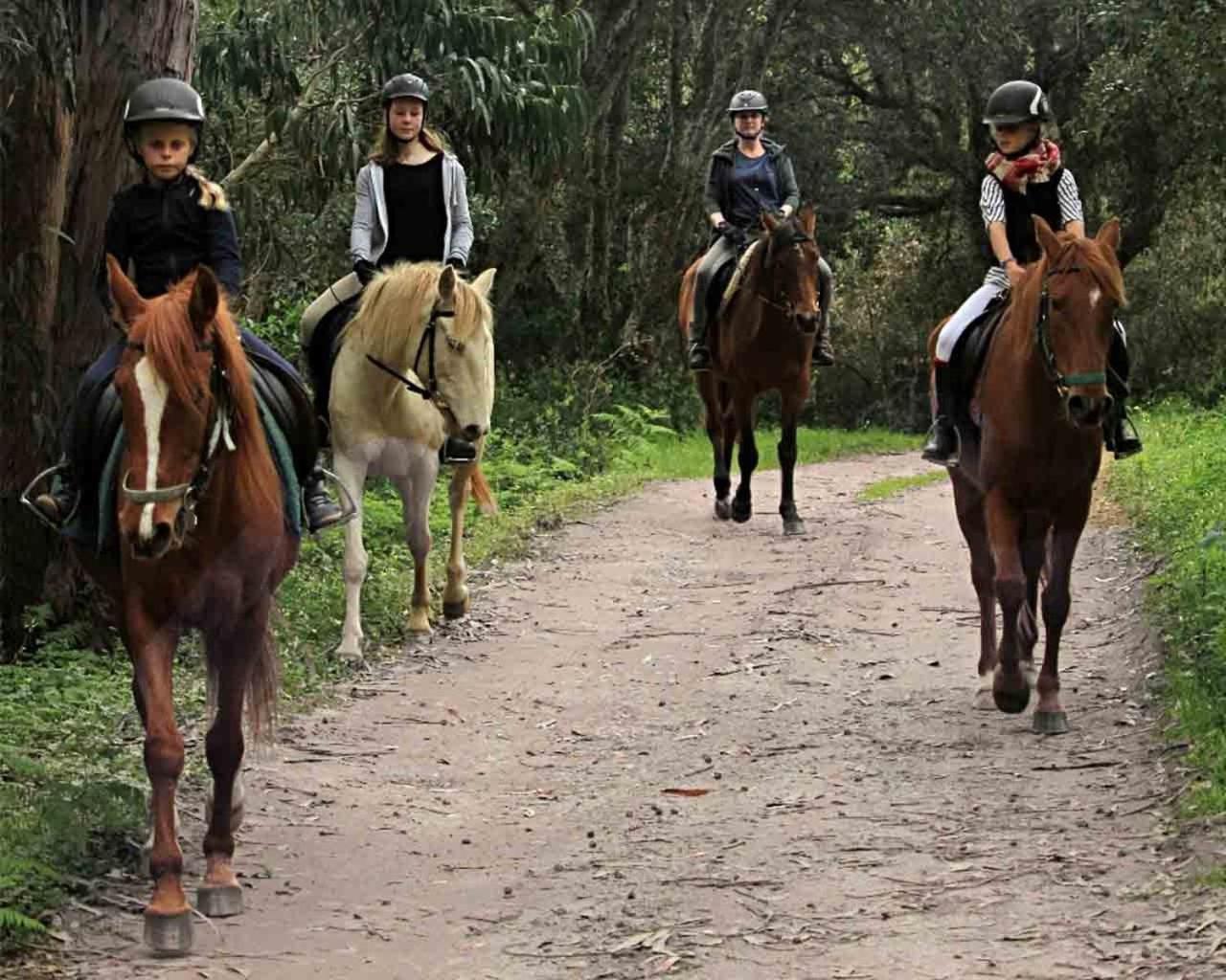 Quinta Pedagogica Da Samoqueirinha - Duna Parque Resorts & Hotels ヴィラ・ノヴァ・デ・ミルフォンテス エクステリア 写真
